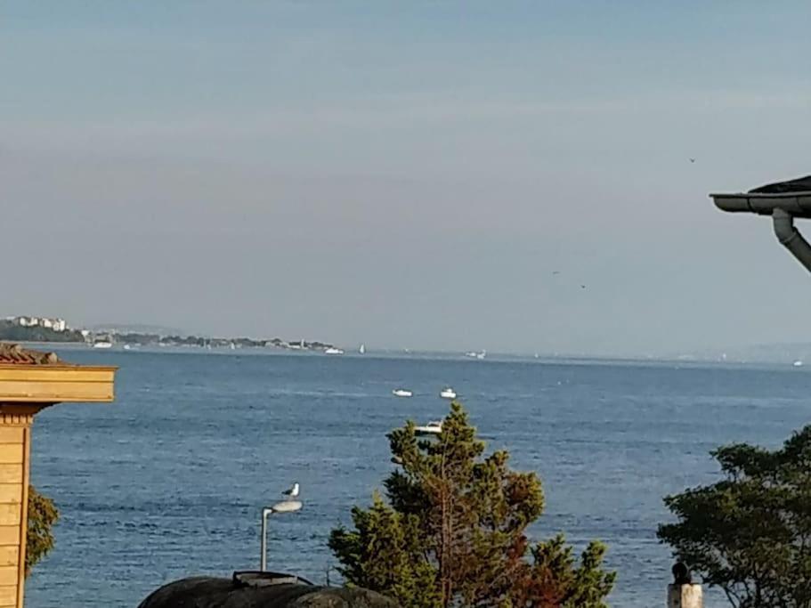 Magellan Sea View With Balcony Appartamento